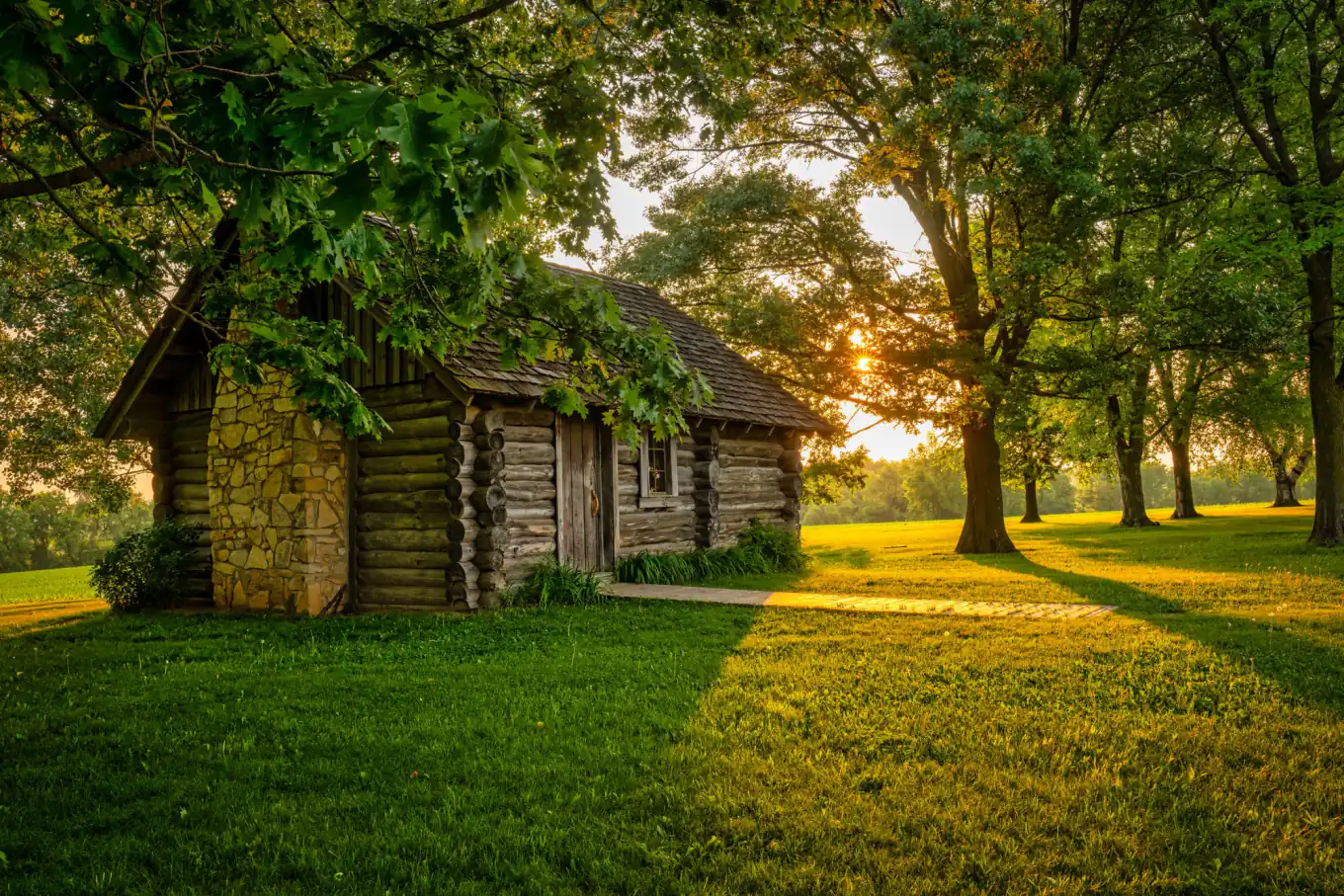A log cabin among old trees, lit by the low evening sun